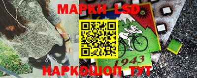 мдпв Брянск