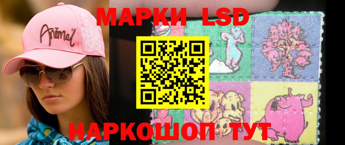 Марки N-bome 1,5мг Зеленогорск