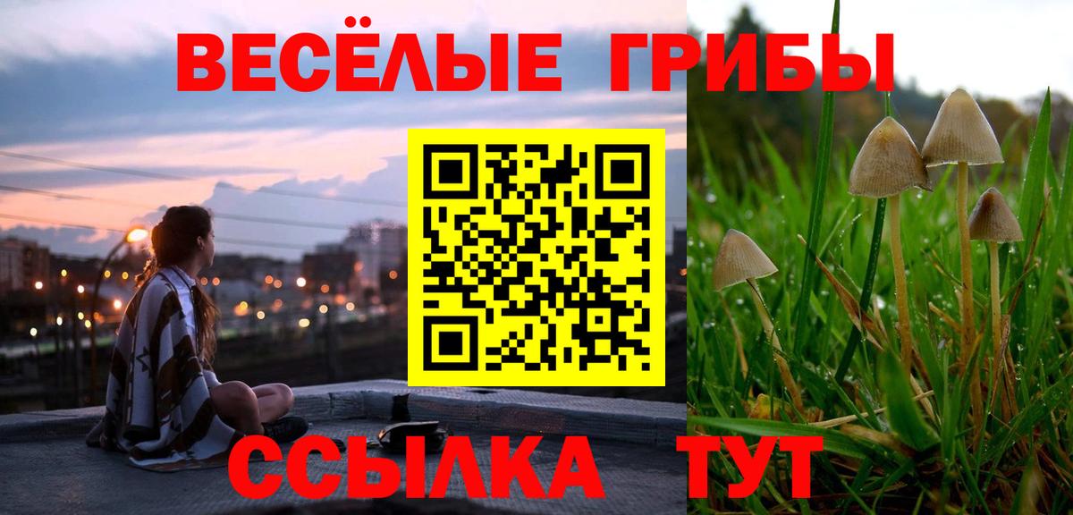 Галлюциногенные грибы Cubensis  Вход с VPN  Псилоцибиновые грибы Magic Shrooms  Зеленогорск 