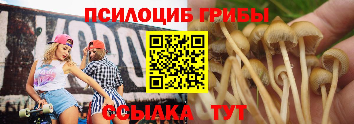 Галлюциногенные грибы MAGIC MUSHROOMS Зеленогорск