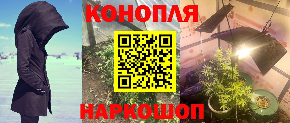Конопля тримм Зеленогорск
